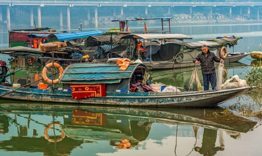Hơn 100.000 tàu cá "đắp chiếu" sau lệnh cấm đánh cá trên sông Dương Tử. Ảnh: Shutterstock