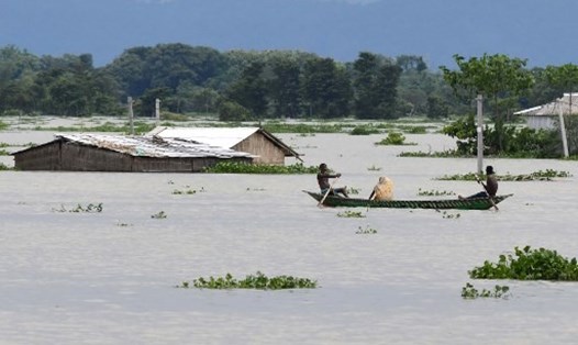 Mưa lũ nhấn chìm nhà dân ở bang Assam, Ấn Độ. Ảnh: AFP