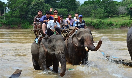 Hoạt động du lịch cưỡi voi vẫn còn phổ biến tại Đắk Lắk. Ảnh: T.H