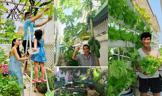 Vườn rau xanh ngắt nhà sao Việt. Ảnh: NSCC