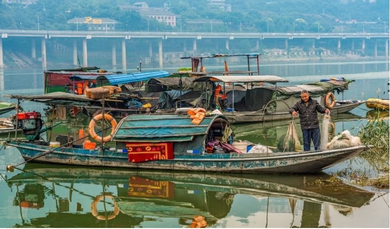 Lệnh cấm bắt cá sông Dương Tử có nghĩa là khoảng 300.000 ngư dân phải từ bỏ công việc. Ảnh: SCMP.