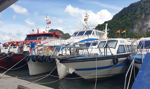 Theo Cảng vụ đường thủy nội địa Quảng Ninh, lượng khách ra Cô Tô hiện đã giảm nhiều so với tuần trước. Ảnh: Nguyễn Hùng