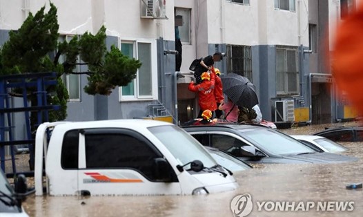 Ô tô ngập trong nước ở Daejeon, thành phố lớn thứ 5 Hàn Quốc, ngày 30.7. Ảnh: Yonhap News