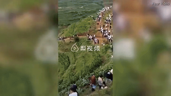 Thực hư "tiếng rồng gầm" khiến người Trung Quốc đổ xô lên núi săn lùng