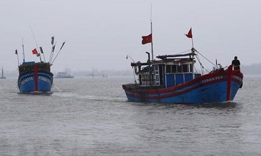 Tàu thuyền của ngư dân Việt Nam. Ảnh: TTXVN.