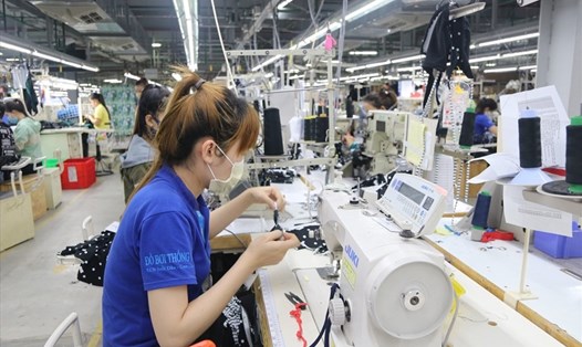 Người lao động thất nghiệp ở Khánh Hòa mòn mỏi chờ hỗ trợ từ gói 62.000 tỉ đồng. Ảnh: Phương Linh