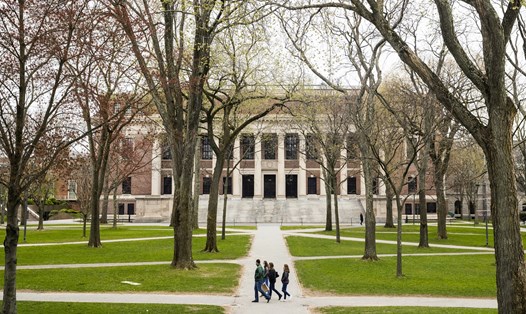 Harvard là một trong những trường đại học và cao đẳng Mỹ tuyên bố sẽ chỉ có các lớp học trực tuyến vào mùa thu này. Ảnh: Bloomberg.