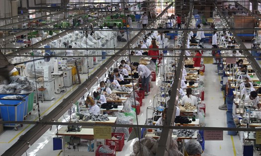 Không ít doanh nghiệp trong tỉnh Tiền Giang giữ ổn định sản xuất trước dịch bệnh Covid-19. Ảnh: K.Q