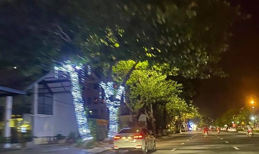 Dây đèn led được quấn quanh cây xanh đô thị có khả năng gây hại cho cây và người đi đường (ảnh ASĐT)