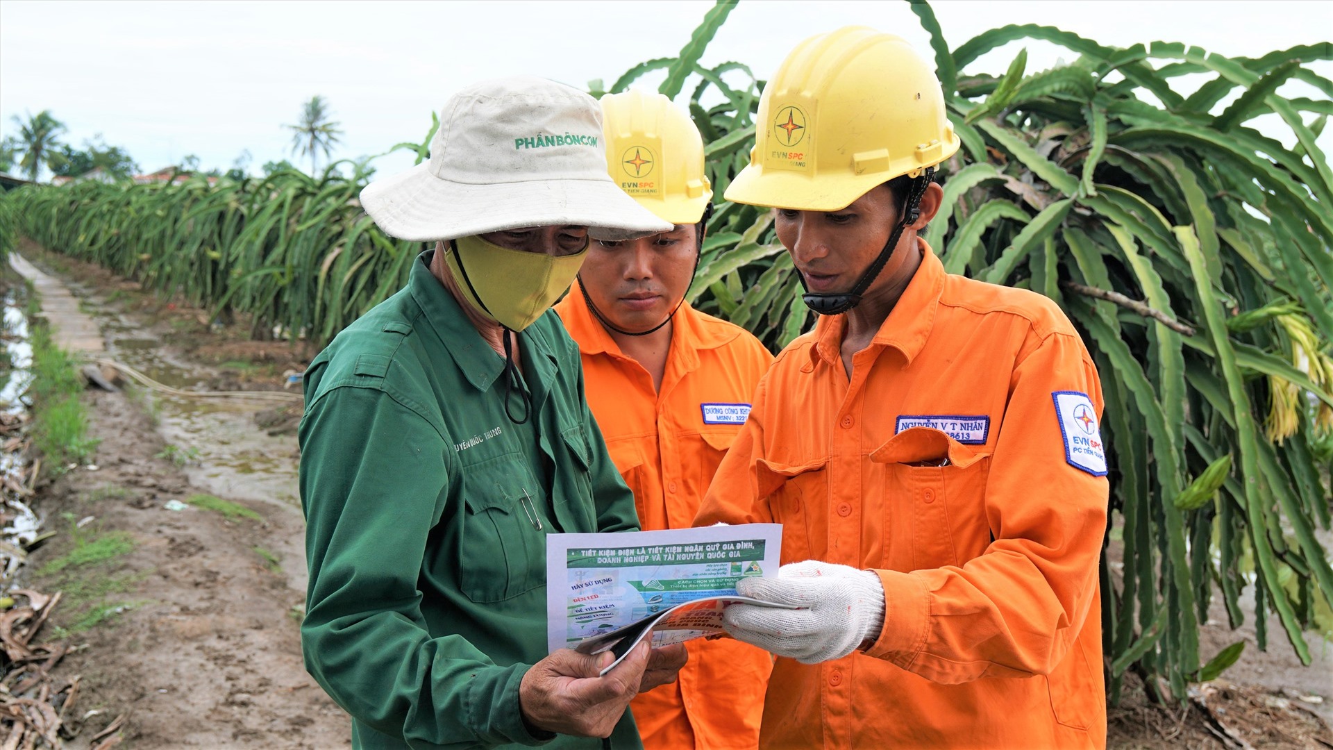 Nhân viên ngành điện hướng dẫn người dân trồng thanh long tại huyện Chợ Gạo, tỉnh Tiền Giang sử dụng điện an toàn. Ảnh EVNSPC cung cấp.