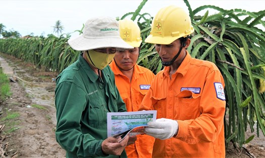 Nhân viên ngành điện hướng dẫn người dân trồng thanh long tại huyện Chợ Gạo, tỉnh Tiền Giang sử dụng điện an toàn. Ảnh EVNSPC cung cấp.