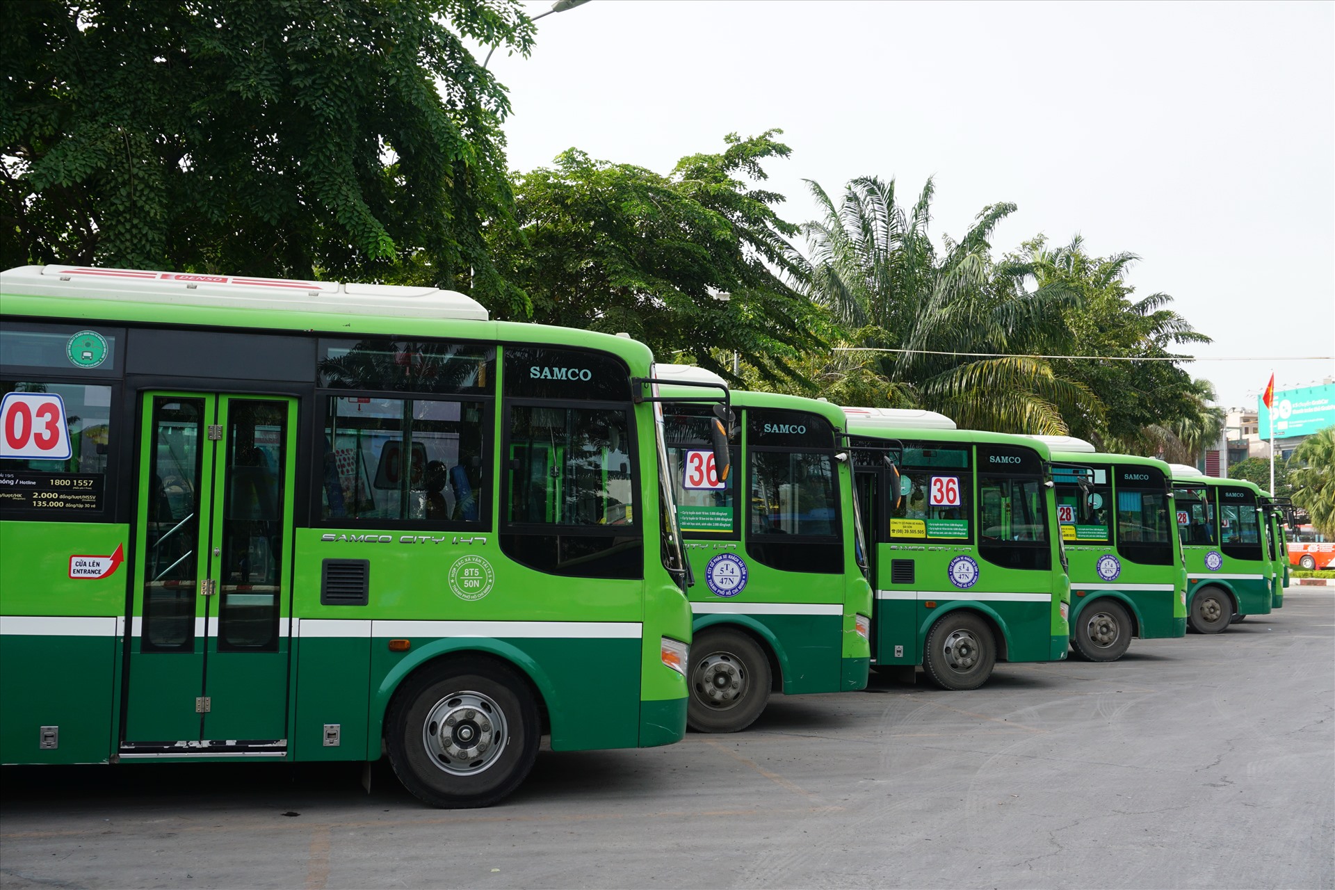 Xe buýt TPHCM đang bị đánh giá là chưa thuận tiện để sử dụng.  Ảnh: Minh Quân