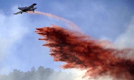 Các máy bay nhỏ (như trong hình) thường được điều động để hỗ trợ dập đám cháy rừng vì chúng có thể hoạt động ở những khu vực khó tiếp cận. Ảnh: Daily Mail.