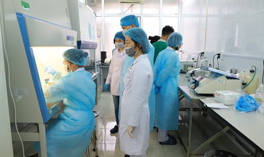 Cán bộ CDC Quảng Ninh đào tạo và chuyển giao kỹ thuật xét nghiệm SARS-CoV-2 bằng phương pháp PCR cho các bệnh viện lớn trên địa bàn tỉnh Quảng Ninh. Ảnh: CDC Quảng Ninh
