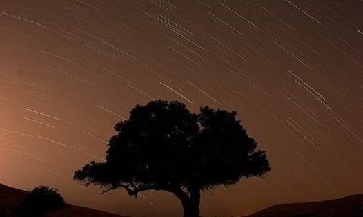 Mưa sao băng Perseid hàng năm được quan sát gần thị trấn Mitzpe Ramon, Israel. Ảnh: Reuters