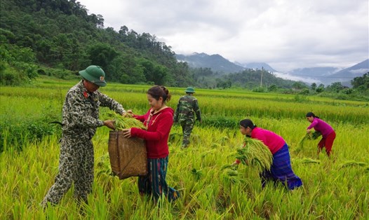 Cán bộ, chiến sĩ Bộ CHQS tỉnh Nghệ An giúp nhân dân xã biên giới Nậm Giải gặt lúa. Ảnh: Nguyễn Tâm Quang