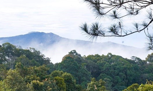 Măng Đen điểm đến thú vị để săn mây và sống ảo. Ảnh TT