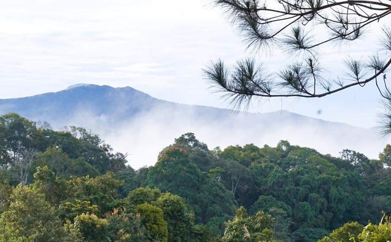 Măng Đen điểm đến thú vị để săn mây và sống ảo. Ảnh TT