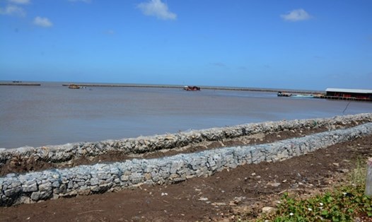 Đê biển Tây nhiều đoạn tại Cà Mau bị sạt lở nghiêm trọng (ảnh Nhật Hồ)