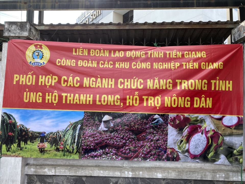 Công đoàn Tiền Giang vào cuộc "giải cứu" trái thanh long. Ảnh: K.Q
