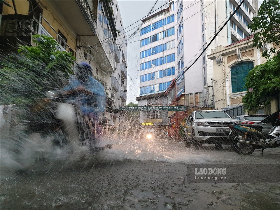 Ảnh minh hoạ: Tạ Quang.