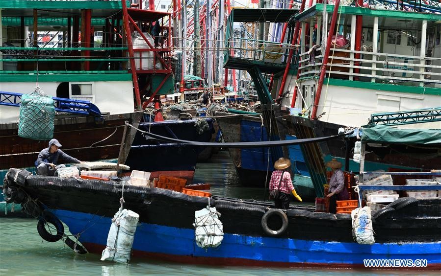 Tàu thuyền về trú bão ở Hải Nam ngày 18.8. Ảnh: Tân Hoa Xã