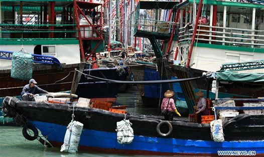 Tàu thuyền về trú bão ở Hải Nam ngày 18.8. Ảnh: Tân Hoa Xã