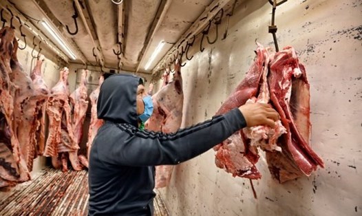 Khoảng 100.000 công nhân tại các cơ sở chế biến thịt ở Brazil mắc COVID-19. Ảnh: AFP