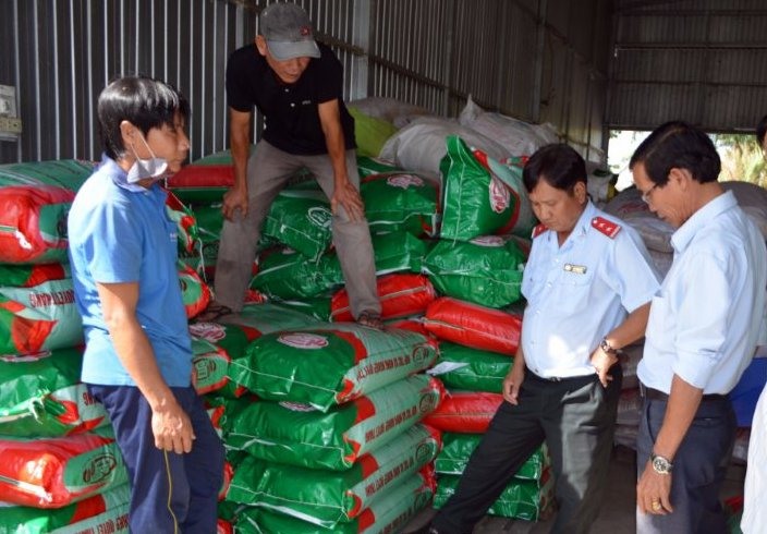 Lúa giống ST24 không rõ nguồn gốc bị đoàn thanh tra phát hiện (ảnh Nhật Hồ)