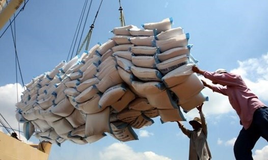 Cơ hội giá trị xuất khẩu gạo của Việt Nam tăng cao từ sau 1.8, khi EVFTA có hiệu lực thi hành. Ảnh: TTXVN