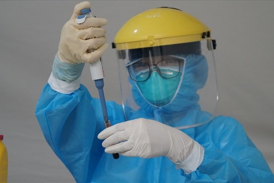 Ảnh minh hoạ Tô Thế.