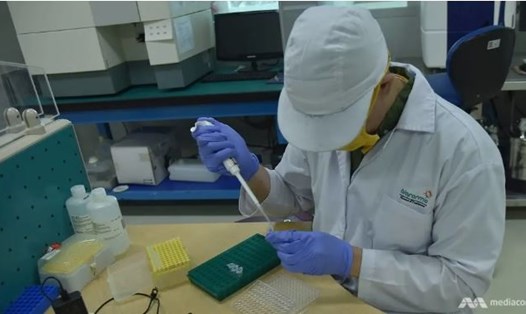 Indonesia sẽ thử nghiệm vaccine COVID-19 của Sinovac Biotech trên 1.620 người trong thời gian sáu tháng. Ảnh: Mediacorp
