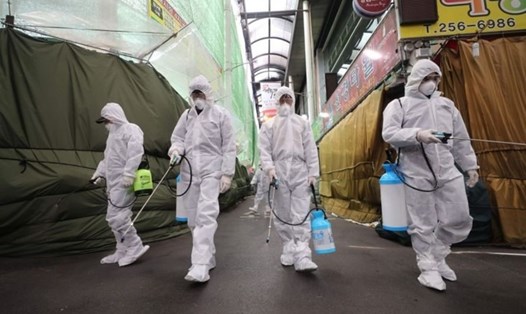 Nhân viên phun khử trùng tại một khu chợ ở Hàn Quốc. Ảnh: AFP