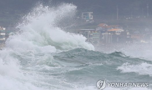 Sóng lớn ở Seogwipo, Jeju. Ảnh: Yonhap.