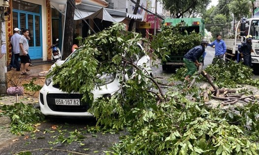 Mưa to gây gió lớn làm cây đổ hỏng xe ôtô tại Cần Thơ. Ảnh: CTV