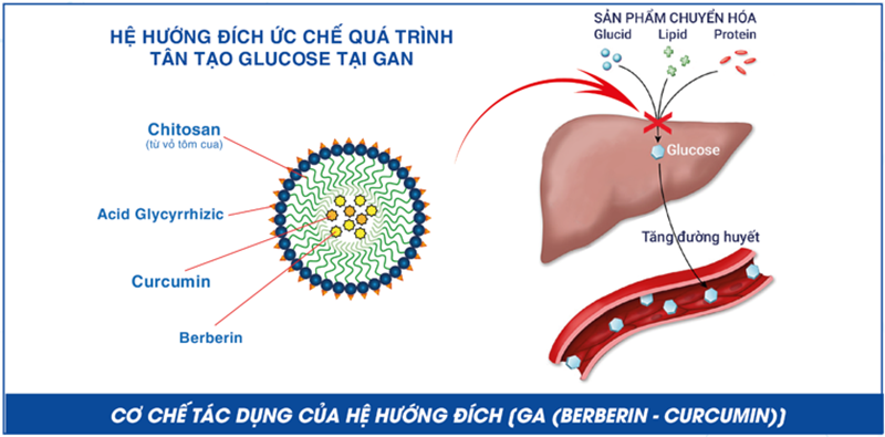 3 đột phá từ nghiên cứu của các nhà khoa học Việt cho bệnh tiểu đường