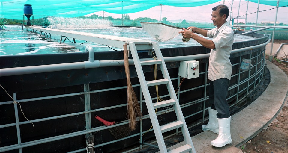 Mô hình nuôi tôm siêu thâm canh trong bể tròn nổi tại Bạc Liêu (ảnh Nhật Hồ)