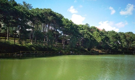 Hồ Diên Hồng có màu nước trong xanh, bên hàng thông năm lá trăm tuổi. Ảnh TT