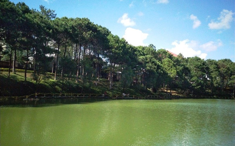 Hồ Diên Hồng có màu nước trong xanh, bên hàng thông năm lá trăm tuổi. Ảnh TT