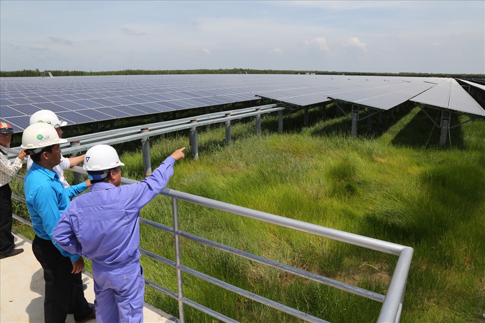 Điện mặt trời ở Đồng Tháp Mười. Ảnh: K.Q