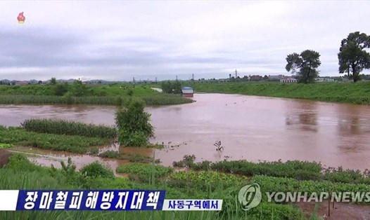 Đất nông nghiệp ở huyện Sadong, phía đông Bình Nhưỡng, bị ngập lụt sau những trận mưa lớn. Ảnh: KCTV/Yonhap