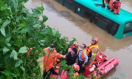 Lực lượng cứu hộ giải cứu các hành khách xe buýt bị mắc kẹt trong nước lũ ở phía bắc Seoul hôm 6.8. Ảnh: Yonhap