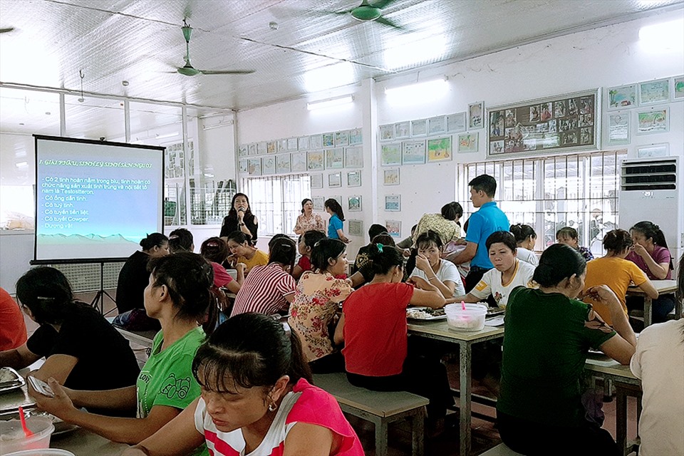Toàn cảnh hội nghị. Ảnh: Mai Hương.