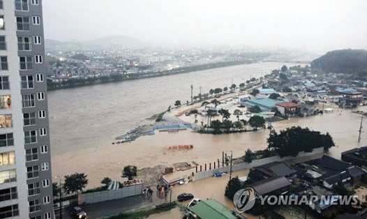 Làng ở Namwon, tỉnh Jeolla Nam bị ngập do nước suối tràn bờ hôm 8.8. Ảnh: Yonhap.