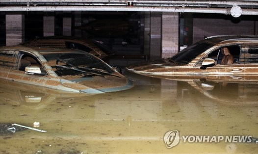 Hầm để xe tại một tòa nhà bị ngập nước ở thành phố Gwangju, cách thủ đô Seoul 329 km về phía nam, ngày 9.8. Ảnh: Yonhap