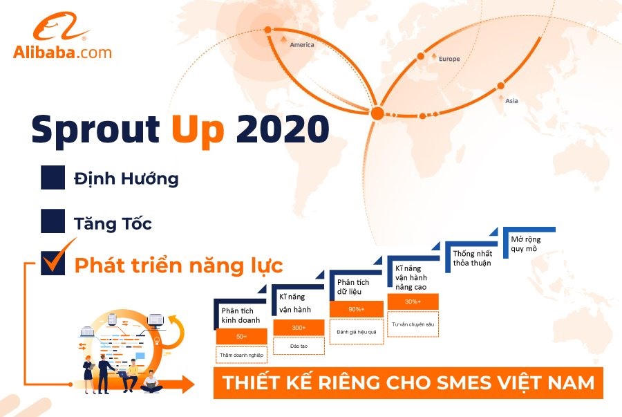 Mô hình kinh doanh của Alibaba có thể thành công ở Việt Nam