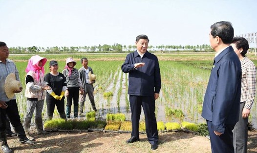 Chủ tịch Tập Cận Bình thăm một đoạn sông Hoàng Hà ở thành phố Ngô Trung, khu tự trị Ninh Hạ. Ảnh: CGTN