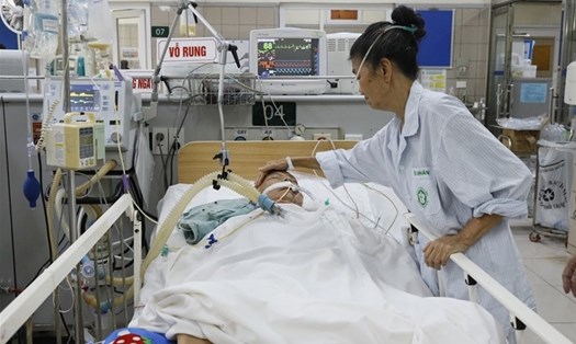 Pate Minh Chay 3 có độc tố nguy hiểm có thể gây tử vong với liều nhỏ.