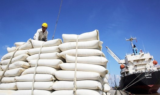 80.000 tấn gạo đầu tiên của Việt Nam được xuất sang EU trong năm 2020 sau hiệp định EVFTA. Ảnh: Hạ an