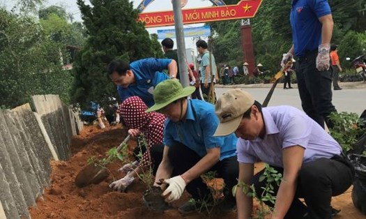 CNVCLĐ, đoàn viên thành phố Yên Bái đang trồng tuyến đường hoa tại xã Minh Bảo. Ảnh: Mạnh Hùng